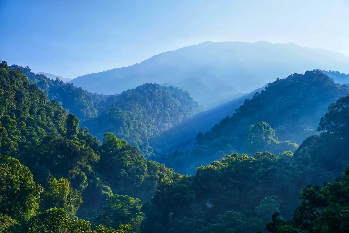 Compromisso com a Sustentabilidade 2026: O Futuro da AXA e dos Corretores