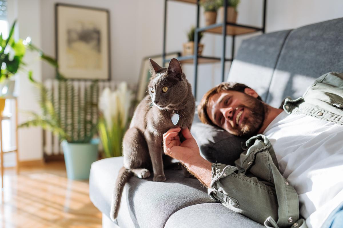 Quem cuida de um pet sabe: eles também fazem parte da família 