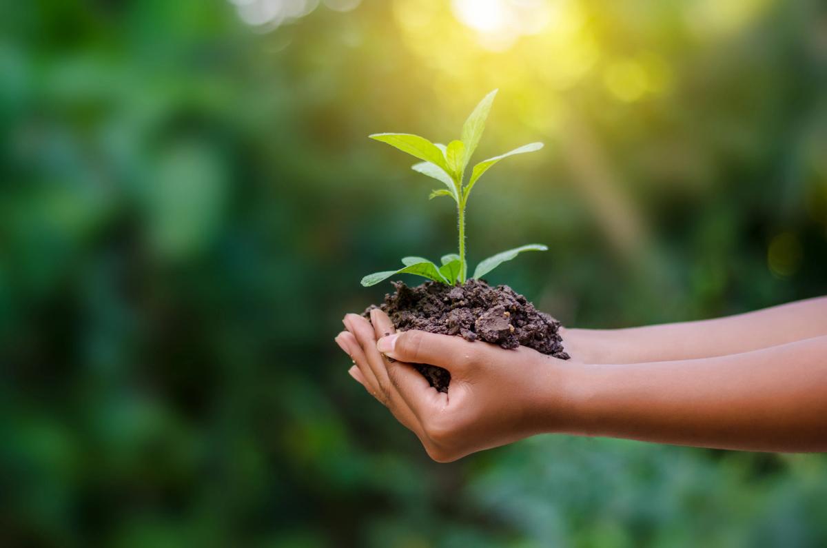 Relatório de Sustentabilidade 2025