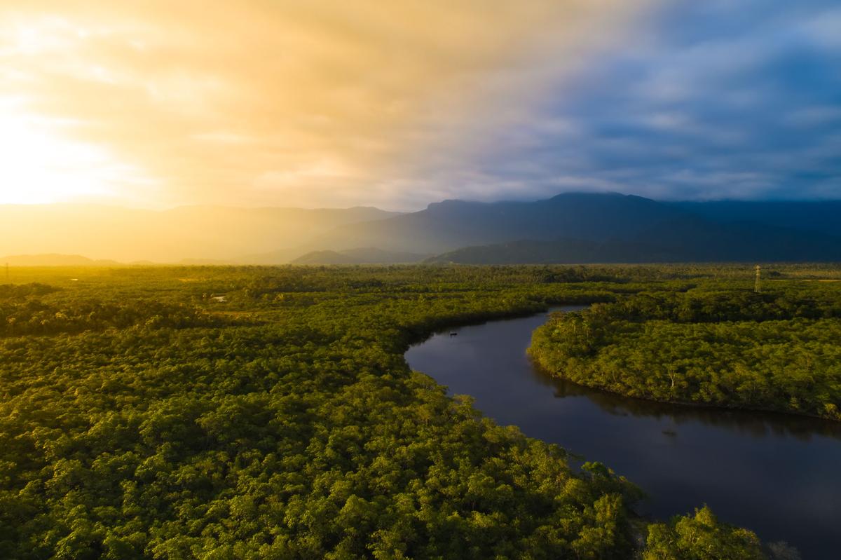 Relatório de Sustentabilidade 2024