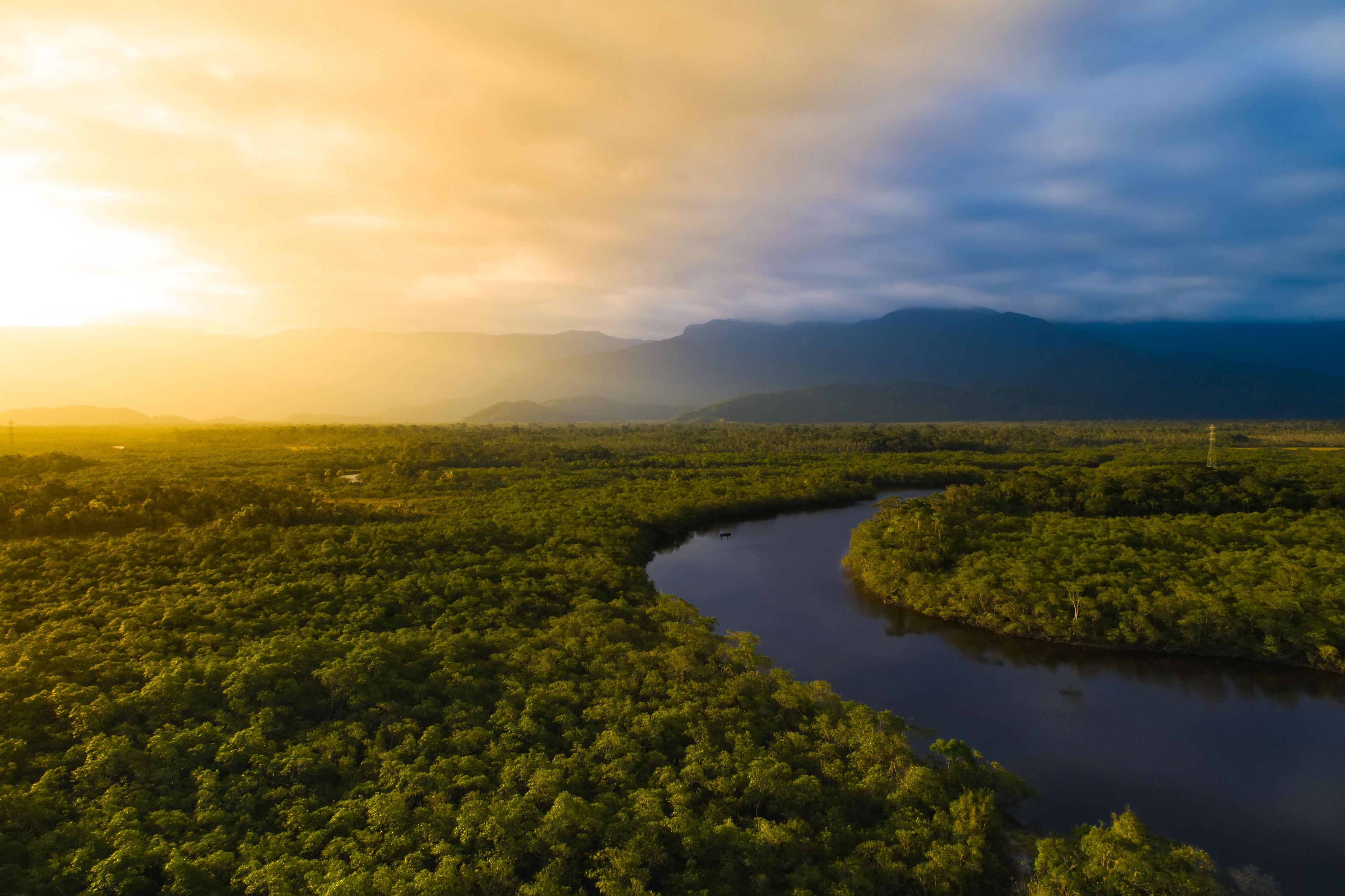 Relatório de Sustentabilidade 2024